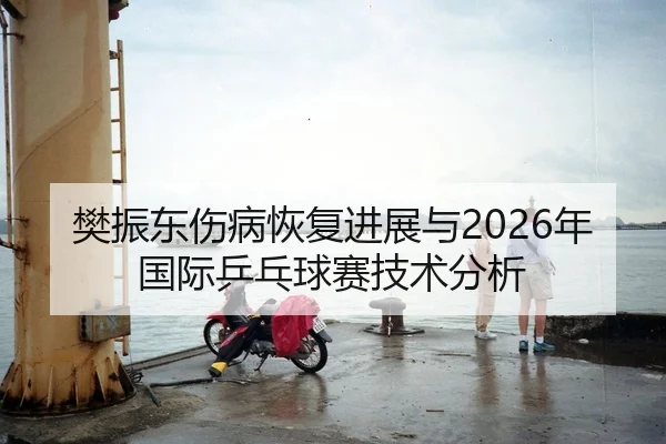 樊振东伤病恢复进展与2026年国际乒乓球赛技术分析